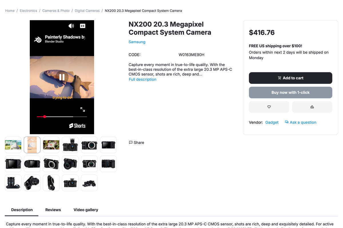 The "Replace image" mode: a vertical Shorts video plays in place of the photo in a 9:16 frame.